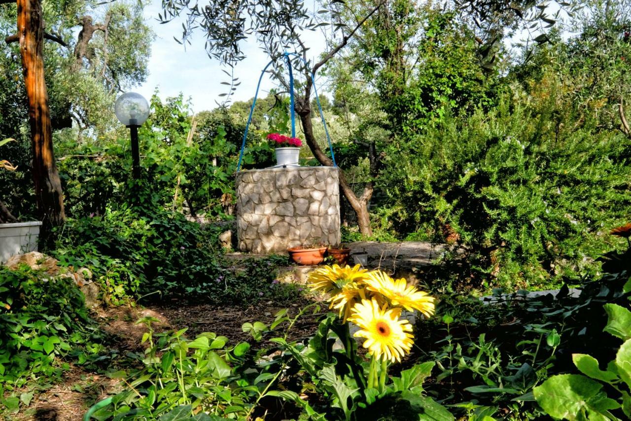 Terra Di Ulivo Villa Весте Екстериор снимка