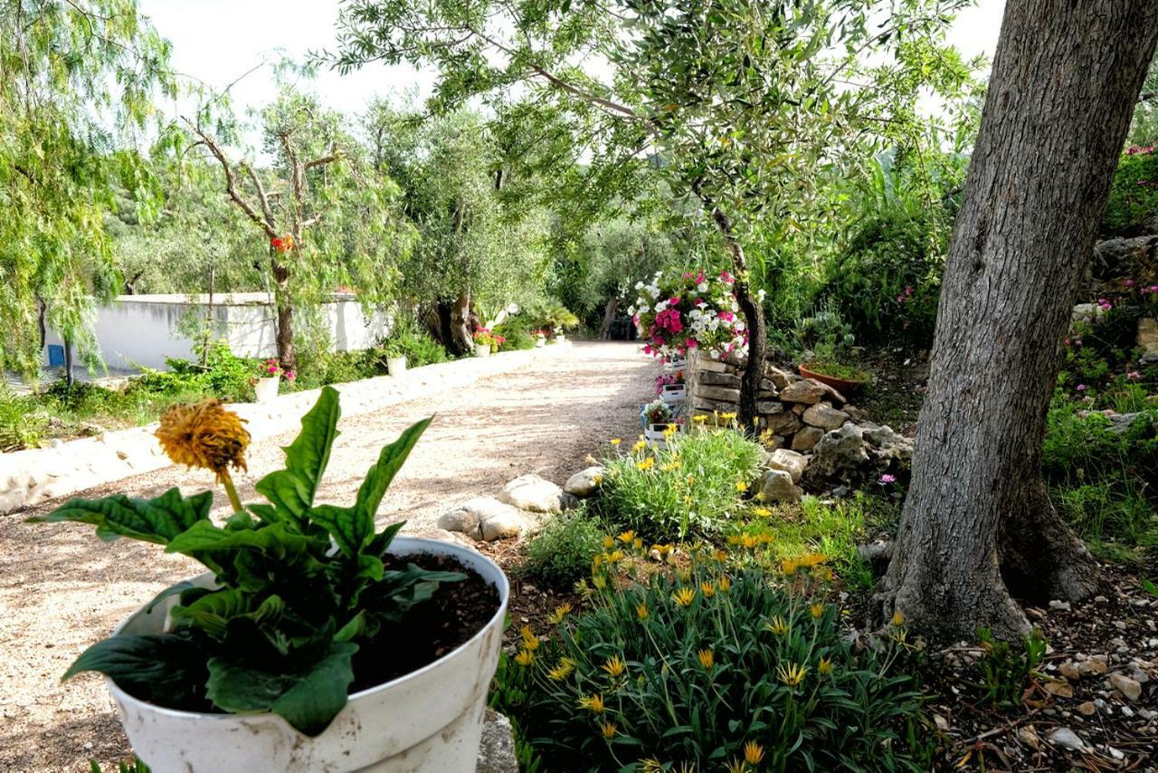 Terra Di Ulivo Villa Весте Екстериор снимка