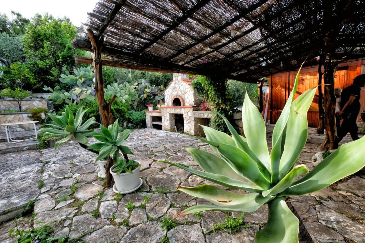 Terra Di Ulivo Villa Весте Екстериор снимка